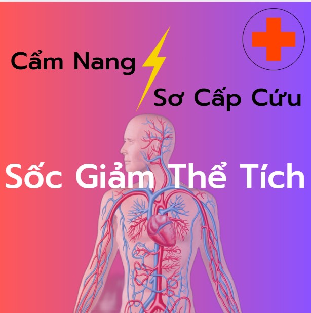 Nguyên Nhân, Biểu Hiện Và Cách Xử Lý Sốc Giảm Thể Tích